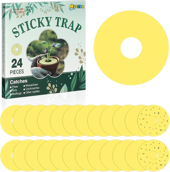 Mysora 24 Pcs Fruit Fly Traps Fungus Gnat Sticky Traps Yellow Round Ring for Pot Plants Indoor Outdoor Mosquito Flying Insects (M)