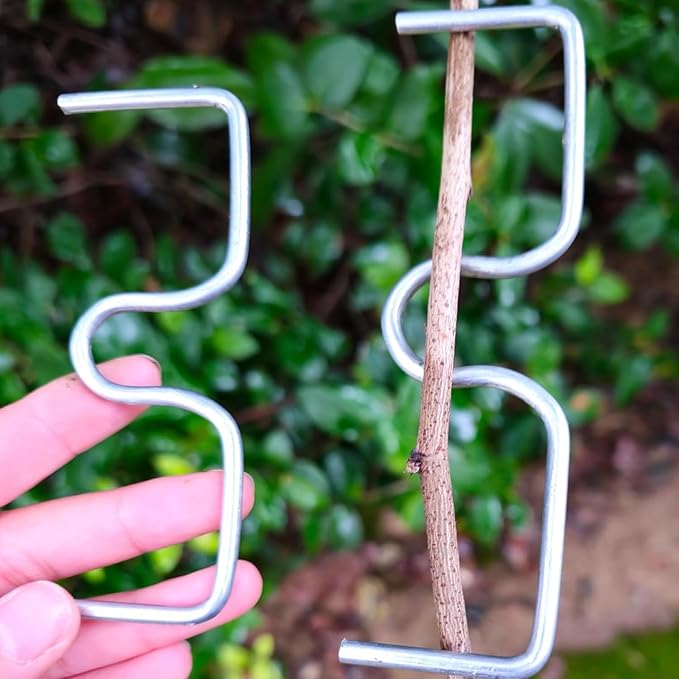 Fruit Tree Branch Puller Tying Machine Farm Tools, New Plum Tree Open Angle Pull Branch Bending Tool, Fruit Trees Branch Spreaders, Fruit Trees Branch Support 15PCS (M-3.1/3.9/5.1 inch)