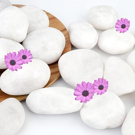 NUPICK 6lb White River Rocks for Plants Indoor, 2-3Inch White Pebbles for Vases Fillers, Decorative Gravel for Fish Tank, Natural Polished Stones for Succulent, Bonsai, Landscaping, Bird Baths