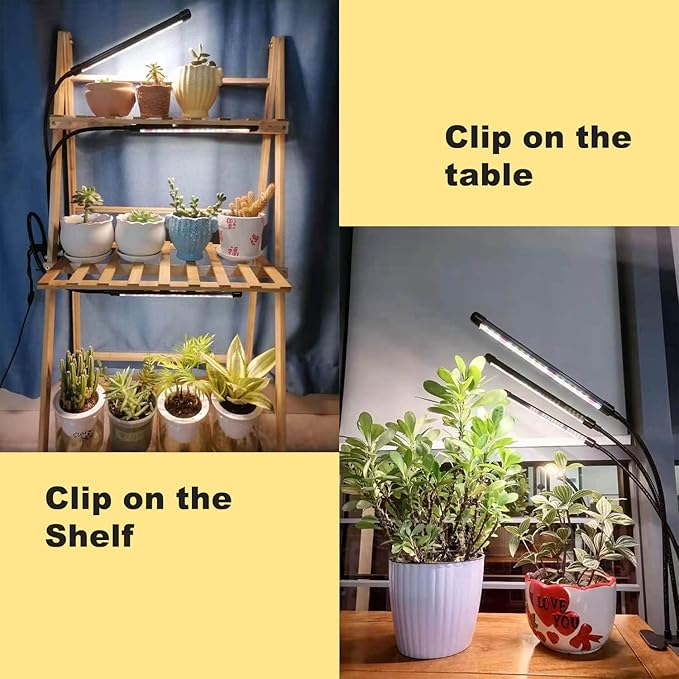JINHONGTO 3Head Clip Grow Lights for Indoor Plants, Small Pot Plant Grow Light with 3,9,12 Hr Timer, Full Spectrum Bonsai Grow Light, Bright Plant Growing Lamps