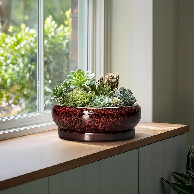 EPFamily Bonsai Pots with Drainage Hole - 13 Inch Ceramic Succulent Pots, Large Succulent Planter with Saucer, Shallow Planter Indoor Outdoor, Round Planter Bowl, Apartment Decor, Garden Gifts, Red