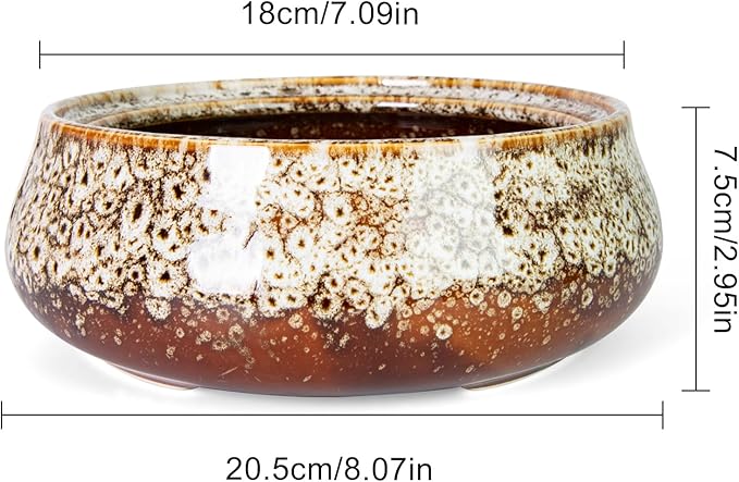 ARTKETTY Succulent Pots - 8 Inch Plant Pot, Large Bonsai Pots with Drainage, Ceramic Planters for Indoor Outdoor Plants, Round Shallow Cactus Flower Plant Container Bowl Decorative Home Garden