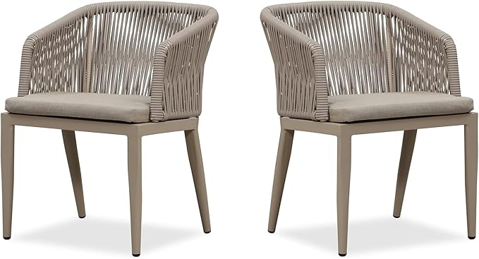 PURPLE LEAF 2 Pieces Outdoor Dining Chair All-Weather Wicker Aluminum Frame Patio Dining Chair for Lawn Garden Backyard Deck with Cushion, Champagne Armchair