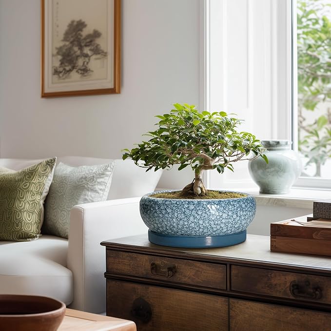 EPFamily Bonsai Pots 10 Inch - Ceramic Succulent Planters with Drainage Hole and Saucer, Succulent Pots for Indoor Outdoor, Shallow Flower Pot, Round Planter, Patio Decor, Housewarming Gifts, Blue