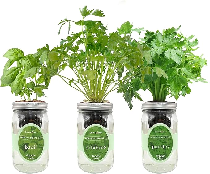Environet Hydroponic Herb Growing Kit Set, Self-Watering Mason Jar Herb Garden Starter Kit Indoor, Windowsill Herbs Garden, Grow Your Own Herbs from Organic Seeds (Basil, Cilantro and Parsley)