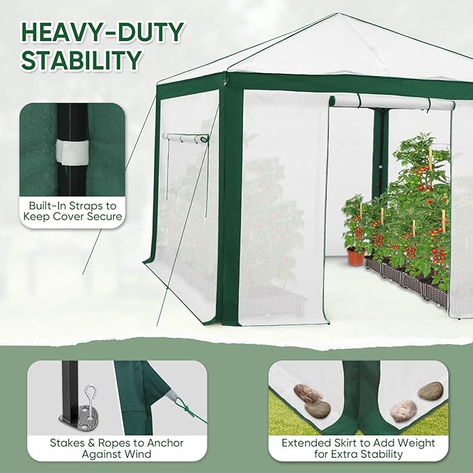 EAGLE PEAK Replacement Cover for 10x10 Pop up Greenhouse with Polyester Reinforced Corners, Front and Rear Roll-Up Zipper Entry Doors and 2 Large Roll-Up Side Windows (Frame Not Included), Green/White