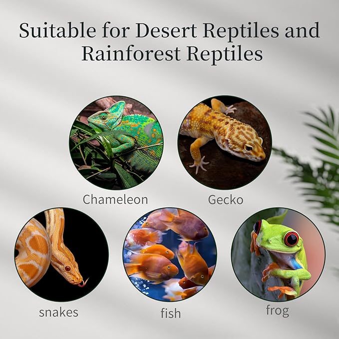 waazoorep 15 Gallon Tall Reptile Glass Tank 12"x12"x24" with Drainage System - Pre-Assembled Vertical Reptile Cage for Arboreal Geckos,Chameleon,Lizard,Tree Frog and Snake with Terrarium Decoration