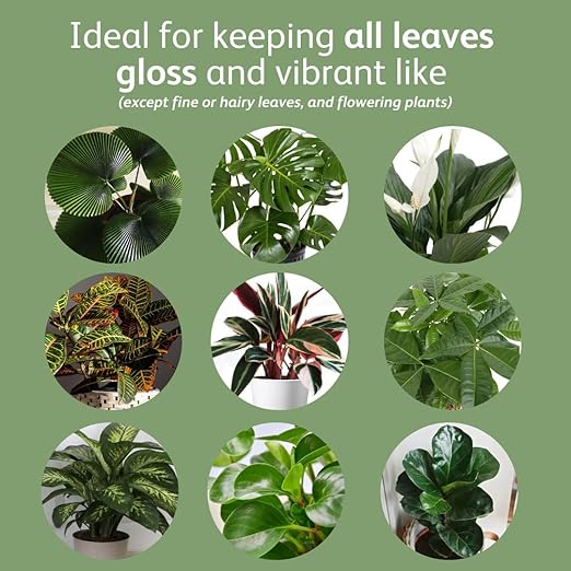 Chrysal LeafShine Spray for Indoor Plants (25oz 3 Pack)