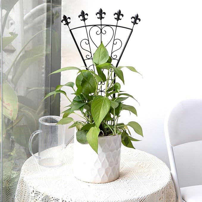 Heavy Duty Trellis for Potted Plants, 3-Pack, 24x12 Inches Elegant Metal Climbing Support for Monstera and Small Houseplants, Perfect Indoor & Outdoor Decoration for Home Garden and Balcony