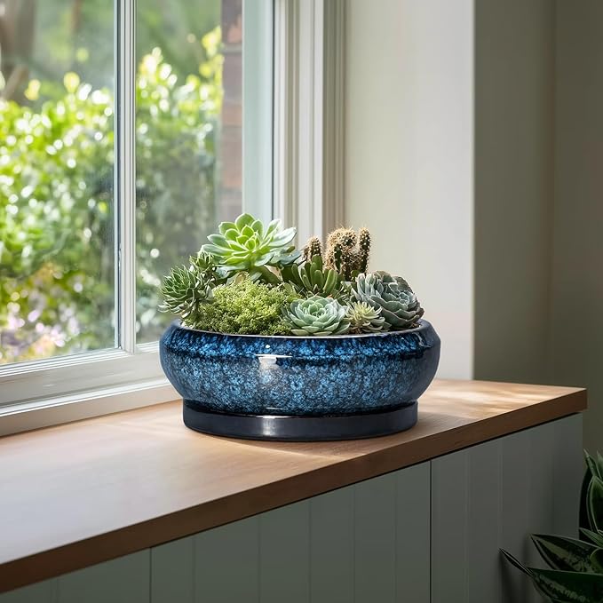 EPFamily Bonsai Pots - 13 Inch Ceramic Succulent Pots for Indoor Outdoor, Large Succulent Planter with Drainage Hole and Saucer, Round Shallow Flower Planters, Porch Decor, Gardening Gifts, Blue