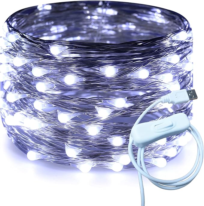 RUICHEN Silver Wire 33 Ft 100 LED USB Fairy String Lights with On/Off Switch (Cool White)