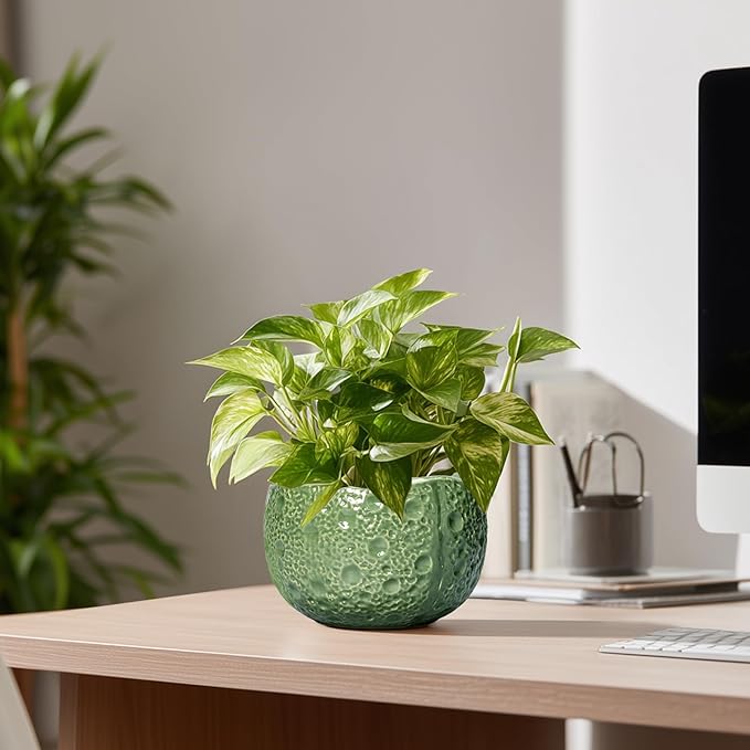 Thirtypot 6 Inch Plant Pot - Orchid Pot with Drainage Hole, Ceramic Planter for Indoor Outdoor, Decorative Plant Pots, Modern Round Unique Flower Pots, Living Room Decor, Gifts for Women Men, Green