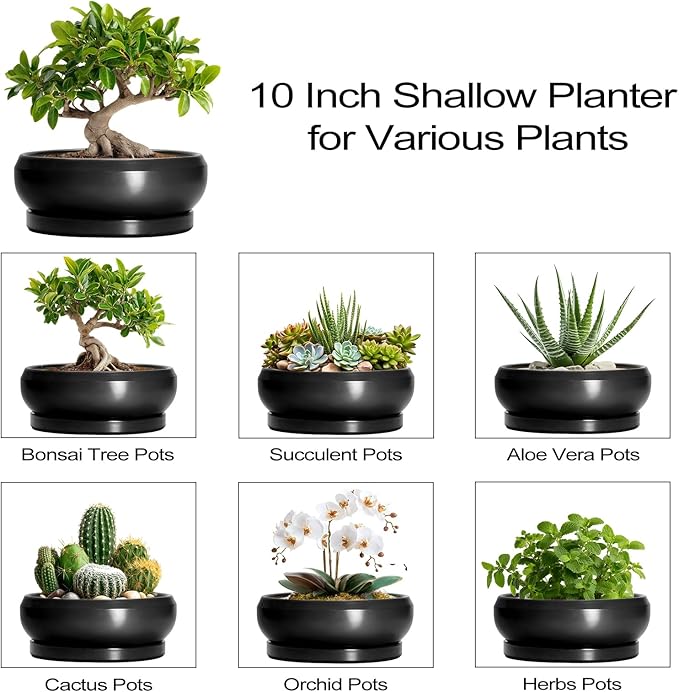 EPFamily Bonsai Pots 10 Inch - Ceramic Succulent Planters Indoor Outdoor, Bonsai Pots with Drainage Hole and Tray, Modern Shallow Planter, Round Bowl Planter, Garden Decor, Garden Gift, Black