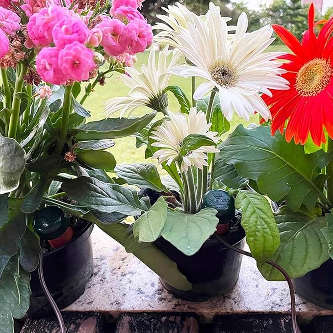 Blumat Plant Watering Devices | Classic XL Self Watering Planter Insert | Automatic Drip Plant Watering Stakes for Pots | Prevents Overwatering and Underwatering for Healthy Growth | 1 Pack