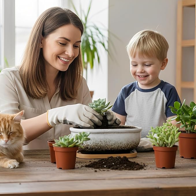 ARTKETTY Succulent Pots, 1 Rectangle Planter + 1 Ceramic Bonsai Pot with Drain Tray, 2 Pack Large Shallow Succulent Planters for Indoor Plants, Round Cactus Flower Plant Pot for Desk Windowsill Decor