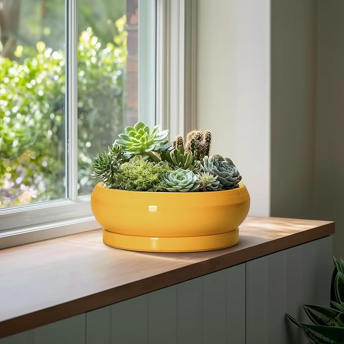 EPFamily Ceramic Bonsai Pots - 13 Inch Large Succulent Pots with Drainage Hole and Saucer, Bonsai Planter for Indoor Outdoor, Round Shallow Bowl Planter, Garden House Decor, Plant Lover Gifts, Yellow