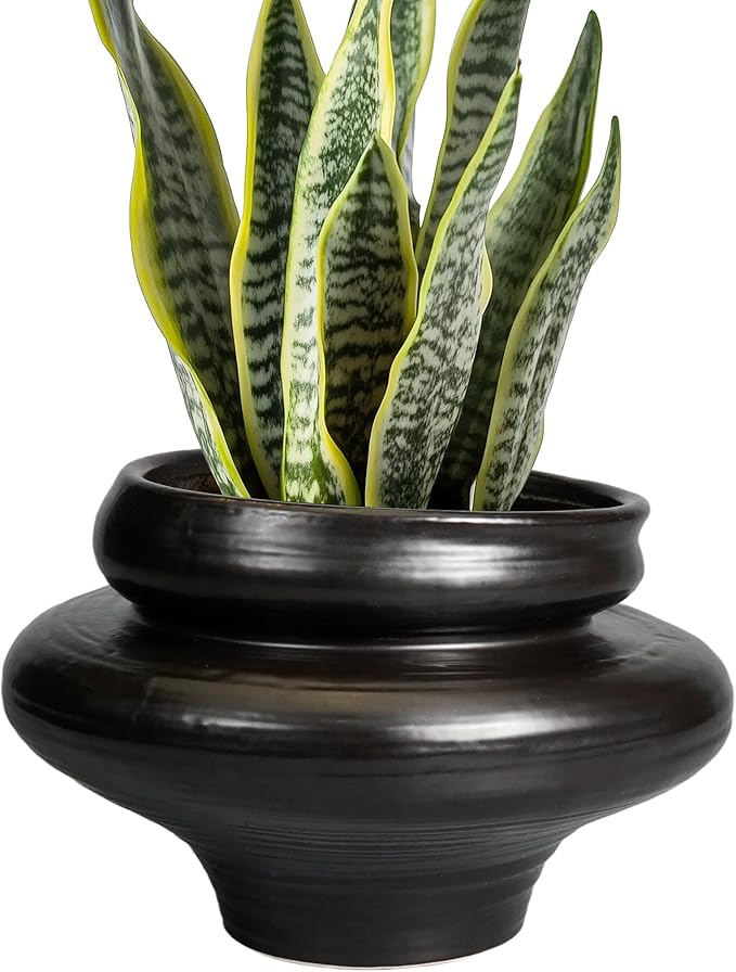 Teagas Ceramic Pots for Plants 11 Inch - Bonsai Planter for Outdoor Plants, Black Planter with Drainage Hole, Decorative Plant Pots for Home Decor, Gift for Women Men