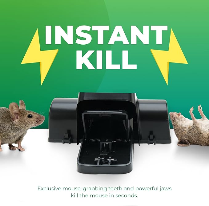Rat Traps Indoor and Outdoor - 2 Pack Dual-Entry Large Rat Trap Outdoor and Indoor for Home, Garden and Restaurant with 99.9% Trap Rate | Easy to Use Rodent Traps with Safe Hands Free Design
