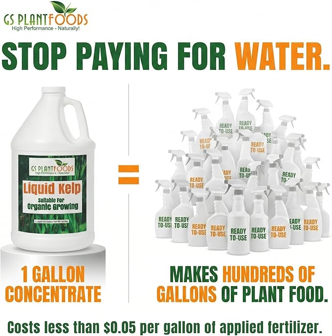 GS Plant Foods Liquid Kelp Fertilizer – Suitable for Organic Growing, OMRI Listed Seaweed Concentrate for Lawns, Gardens & Soil - 1 Gallon (Makes Up To 800+ Gallons)