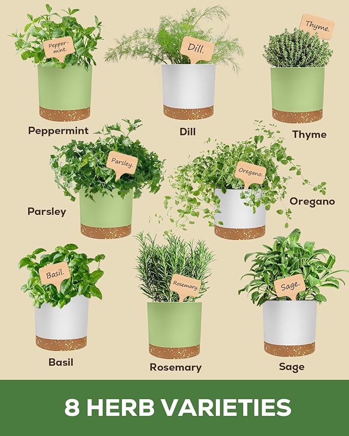 Indoor Herb Garden Kit with 8 Heirloom Seeds - Complete Windowsill Planter Starter Set, Unique Gardening Gift for Women Men, DIY Kitchen Herb Garden for Beginners, Plant Lovers, Mom, Friends