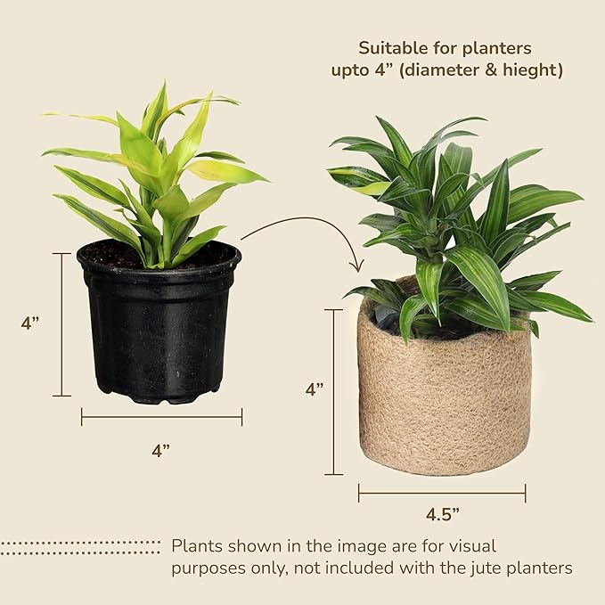 Jute Planter Basket-Woven Jute Rope Covers for Decorating Indoor/Outdoor Succulents, Small Plant Pots-Set of 3-Multi-Purpose Storage Bins 4.5 Inches -Modern Style Decor -Natural Jute