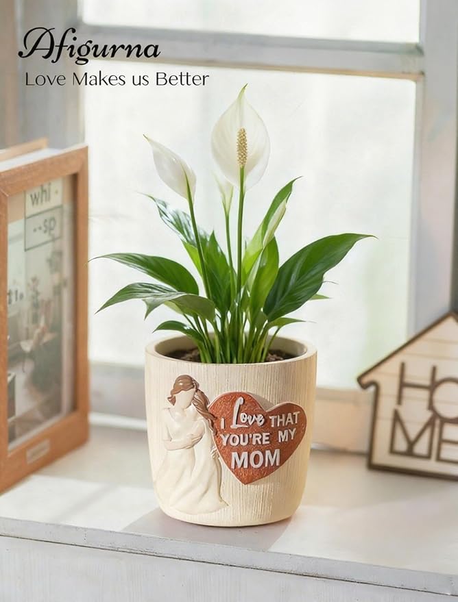 Afigurna Gardening Gifts for Mom from Daughter: 5.3in Hand-Painted 3D Art Planter - Garden Gifts for Gardening Mom - Meaningful Plant Pot Gifts for Birthday Christmas Mother's Day