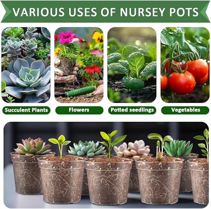 RooTrimmer 2.5" Clear Seeding Pots 100-Pack Round for Seeds Starter Pots, Seeds Germination Transparent Nursery Pot with Drainage Holes (2.5Inch,100Pcs,Clear)