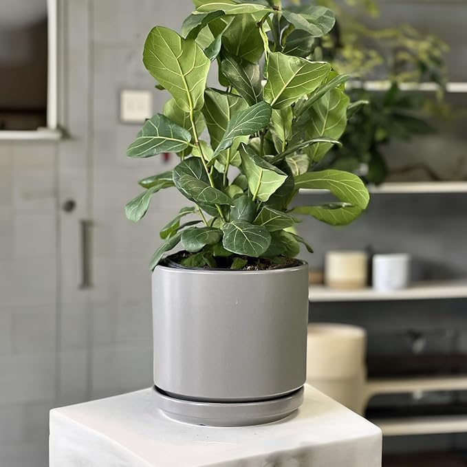 PLANTATOREM Ceramic 10 Inch Mid Modern Planter Pot with Drainage Hole and Saucer, Indoor Cylinder Round Flower Pot, Perfect for Planting Succulents, Herbs, Flowers, House Plants, Heather Grey