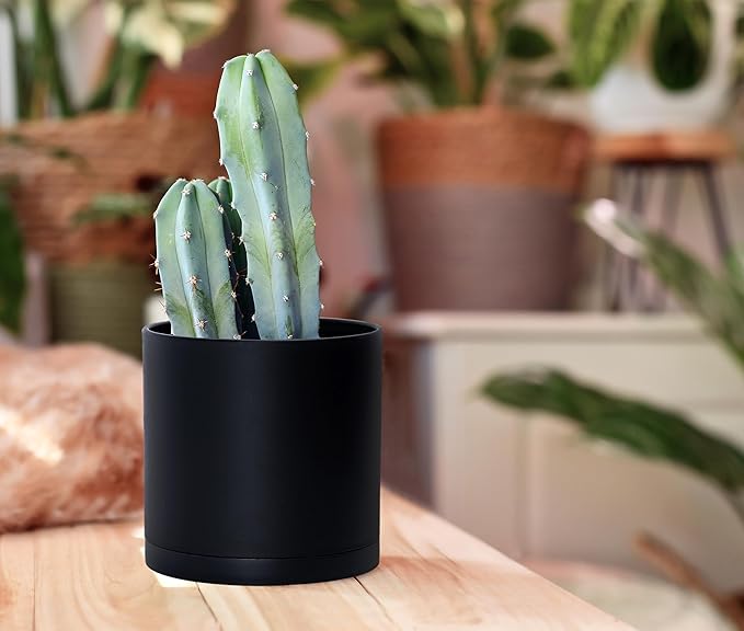 D'vine Dev 2 Pack 5.5 Inch Modern Plastic Plant Pots, Small Garden Planters for Plant with Drainage Holes and Saucers, Black Color, 74-Y-H-1