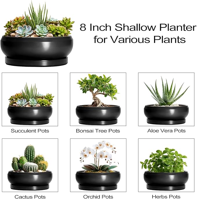 EPFamily Succulent Planters 8 Inch - Ceramic Bonsai Pots for Indoor Outdoor, Round Succulent Pots with Drainage Hole and Saucer, Modern Shallow Planter Bowl, Garden Home Decor, Birthday Gifts, Black