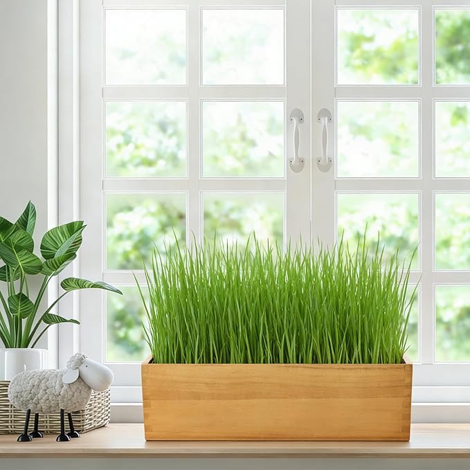 Wooden Cat Grass Planter,Cat Grass Kit for Indoor Cats with Anti-Digging Grid, Potting Soil Disks,Watering Bottle and Removable Plastic Liner,Wheat Grass Growing Pot