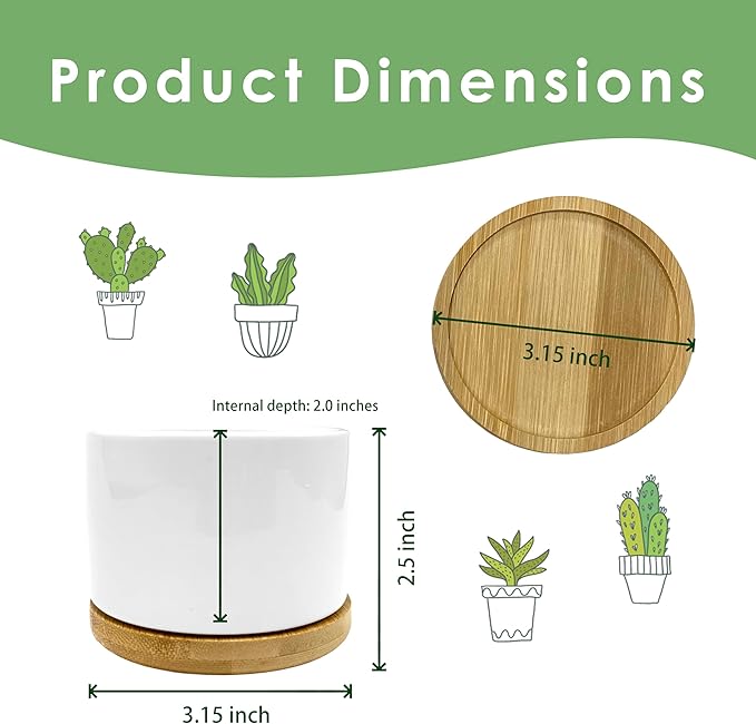ROXMART Friendship Gifts for Women Plant Pots, Birthday Gifts for Best Friend Succulent Planters, I Wish You Lived Next Door Ceramic Plant Flower Pots for Home Office Desk Table Shelf(No Plants)