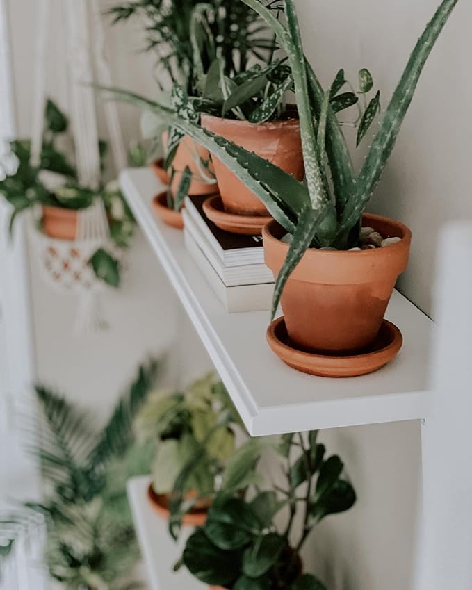 HERDUK Terracotta Pots 6 Inch (4 Pack), Clay Pots for Plants with Drainage Hole and Saucer, Flower Pot with Tray, Large Terracotta Pot for Indoor Outdoor Plant