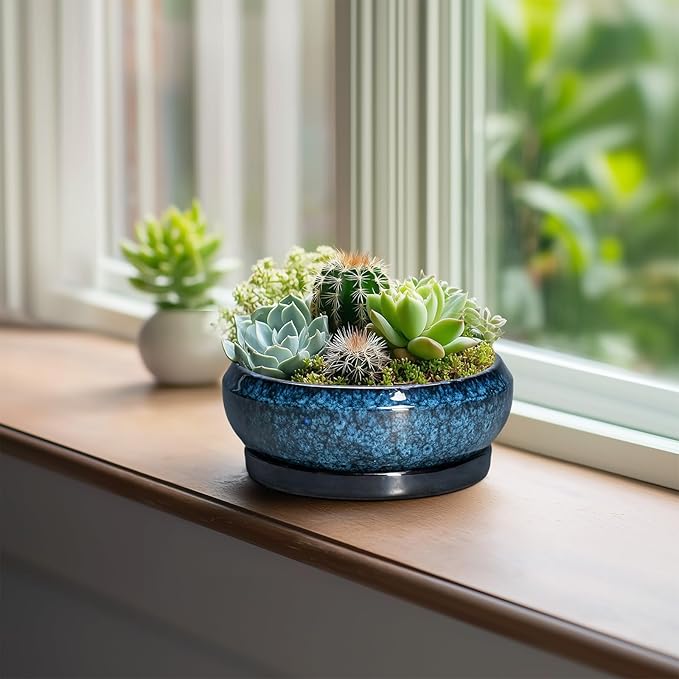 EPFamily Succulent Pots - 6 Inch Ceramic Bonsai Pots with Drainage Hole and Saucer, Shallow Planter for Indoor Outdoor, Round Succulent Planter, Cactus Pot, Office Decor, Gifts for Plant Lovers, Blue