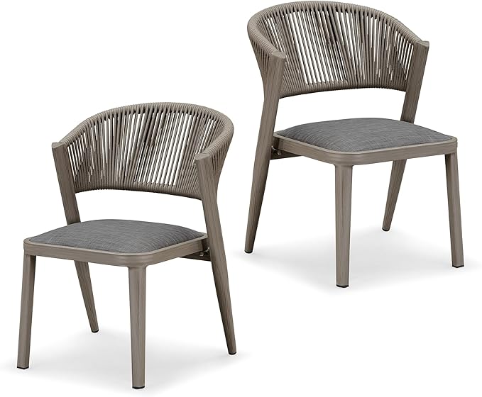 PURPLE LEAF 2 Pieces Outdoor Dining Chair All-Weather Wicker Aluminum Frame Patio Dining Chair for Lawn Garden Backyard Deck with Cushion, Gray