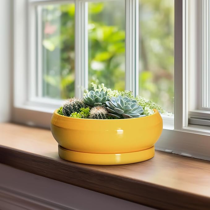 EPFamily Bonsai Pots - 8 Inch Ceramic Succulent Planter for Indoor Outdoor, Shallow Planters with Drainage Hole and Saucer, Round Modern Planter Bowl, Window Decor, Gifts for Plant Lovers, Yellow