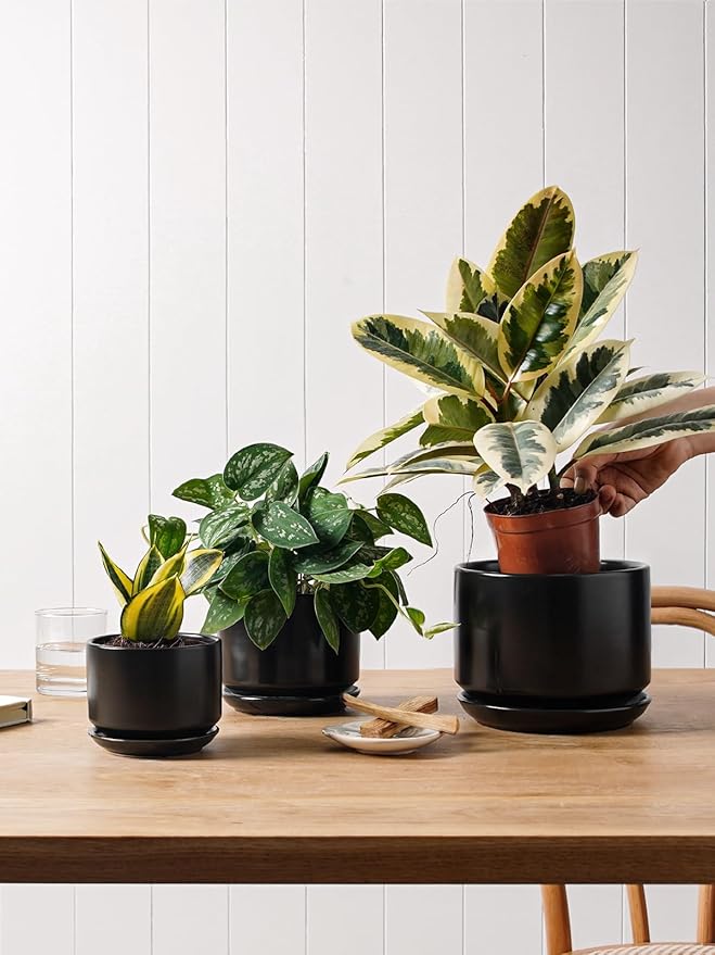 LE TAUCI Ceramic Pots for Plants, 6.8 Inch Plant Pots with Drainage Hole & Saucer, Modern Planter for Indoor Plants, Stable & Durable, Perfect for Living Room or Office Decor, Black