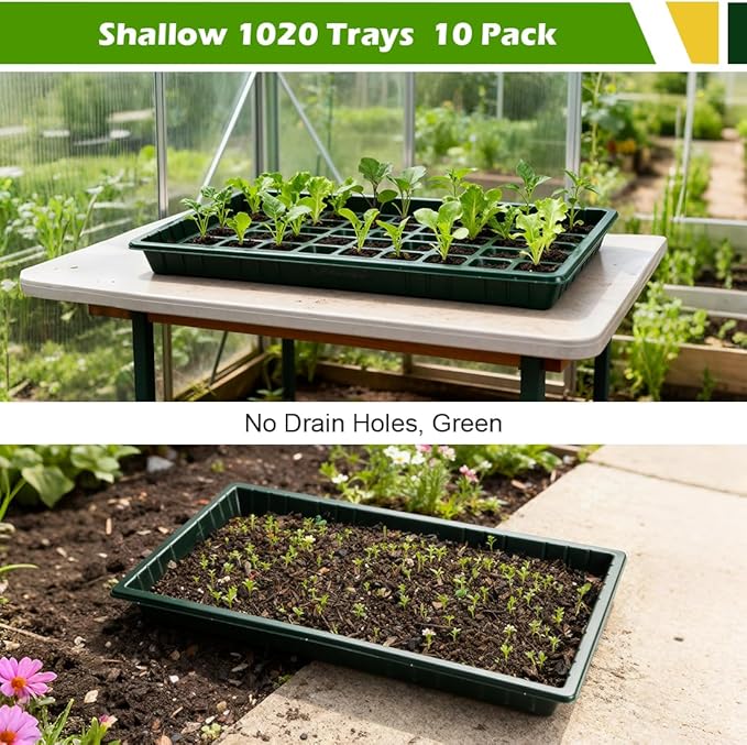 10 Pack Heavy Duty 1020 Trays No Holes - 1.6 Inch Deep Shallow Nursery Flats, Reusable Seed Starter Trays for 72/128 Cell Inserts, Microgreens, Seedling and Hydroponics (Dark Green)