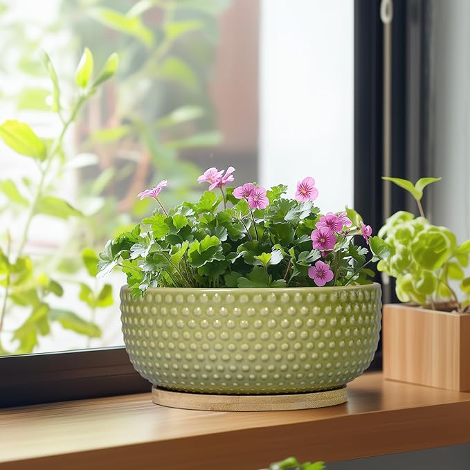 EPFamily Bonsai Planter - 8 Inch Ceramic Succulent Pots with Drainage Hole and Saucer for Indoor Plants, Boho Shallow Round Planter Bowl, Desk Decor, Garden Lover Gifts, Green