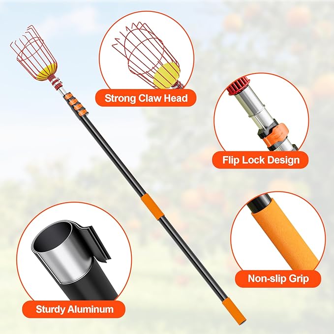 SPECILITE Fruit Picker, 5-20FT Adjustable Telescoping Pole with Basket, Aluminum Apple Picker Tool, Lightweight for Harvesting Orange, Mango, Avocado, Pear, Lemon, Garden Tree Fruit Catcher