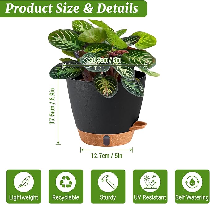 Fielda 2 Pack 8 Inch Pots for Plants Indoor, Plastic Self Watering Planters with Drainage Holes, Water Level Indicator & Deep Reservoir, Decorative Flower Pots Indoor Outdoor Use (Black