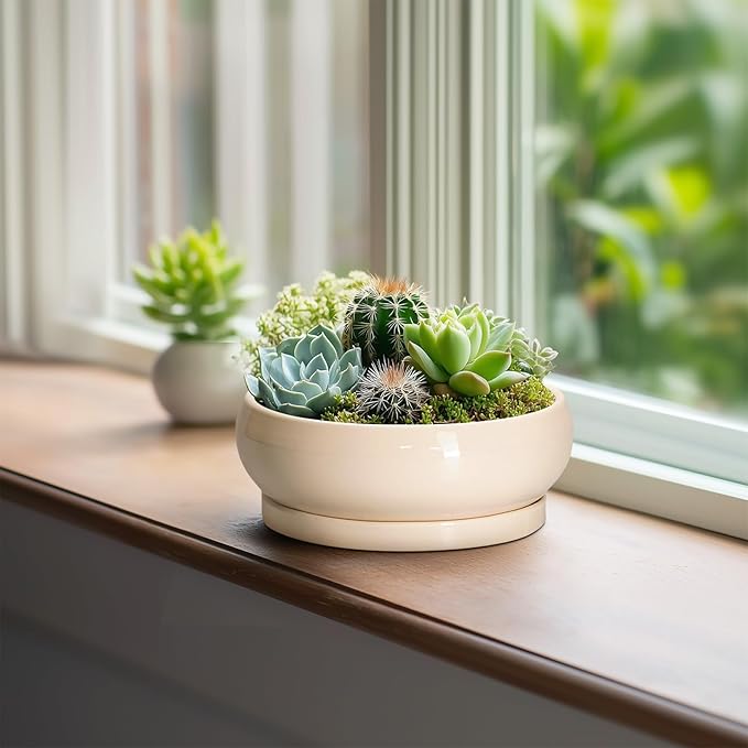 EPFamily Succulent Pots 8 Inch - Ceramic Bonsai Pots with Drainage Hole and Tray, Shallow Plant Pot Indoor Outdoor, Bonsai Tree Pot, Round Modern Planter Bowl, Garden Decor, Gardening Gift, Beige