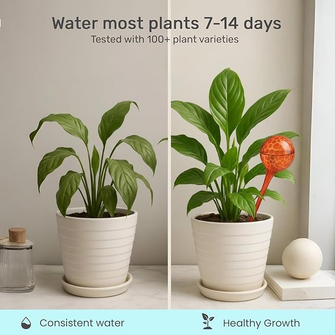Little Green Leaf LGL Plant Watering Globes - Automatic Self Watering Globes. Decorative Self Watering Planter Inserts. Self Watering Spikes to Support Plant Health. 6 Pack x 100ml