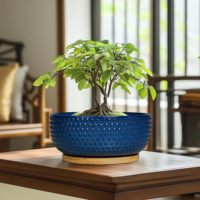 EPFamily Bonsai Pots - 8 Inch Ceramic Pots for Succulent Plants & Bonsai Tree, Planter with Drainage Hole and Saucer, Modern Round Decorative Flower Planters, House Decor, Gifts for Women Man, Blue
