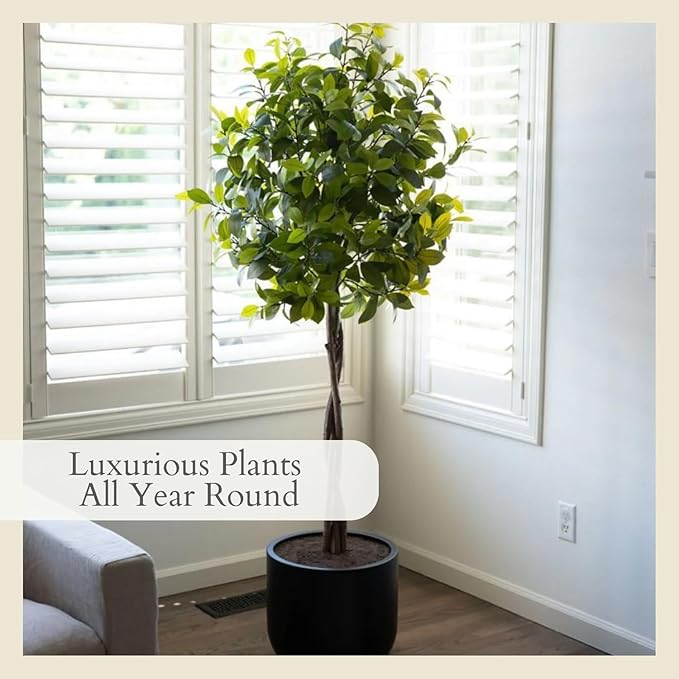 CG Hunter Faux Laurel Tree, Premium Artificial Indoor Tree Stands 6-ft Tall, Lifelike-Leaves & Hand Painted Trunk, Planter Pot Included