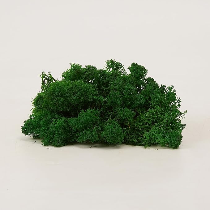 prefleur Preserved Reindeer Moss Natural Green DIY Kit Gardenning Art Wall Decor Florist Decor Easter Table Decor Wedding
