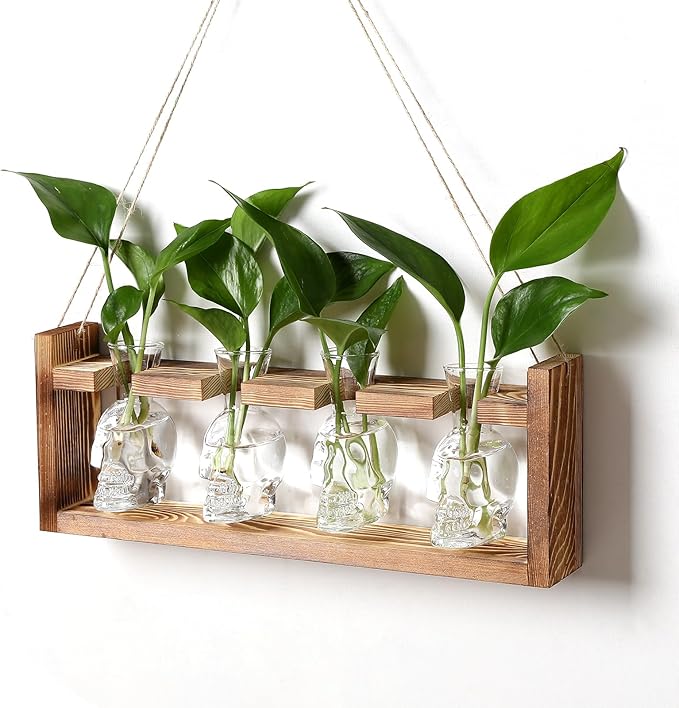 CYZglass Plant Propagation Stations Halloween Skull Plant Terrarium Kit Glass Vases Gift for Father Air Planter Home Office Decor