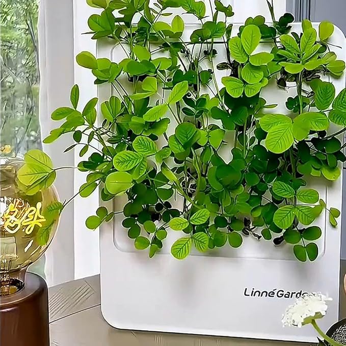 Indoor Garden Hydroponic System with LED Grow Light Indoor herb Garden, Indoor Garden Hydroponic System with LED Grow Light (Gery)