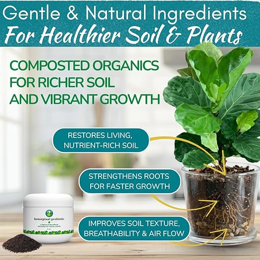 Houseplant Soil Conditioner & Probiotic – Organic Growth Booster (1-1-4) for Rejuvenating Tired Plants | Improves Soil Structure & Nutrient Availability for Stronger Roots & Fuller Leaves | 4 oz