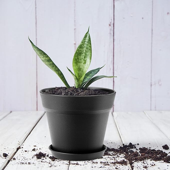 FHWTY 10 Pack Plastic Plant Pots with Drainage Holes and Tray, 5 inch Thickened Indoor Planters Seedlings Nursery Pots for Flowers, African Violet, Succulent and All House Plants, Black